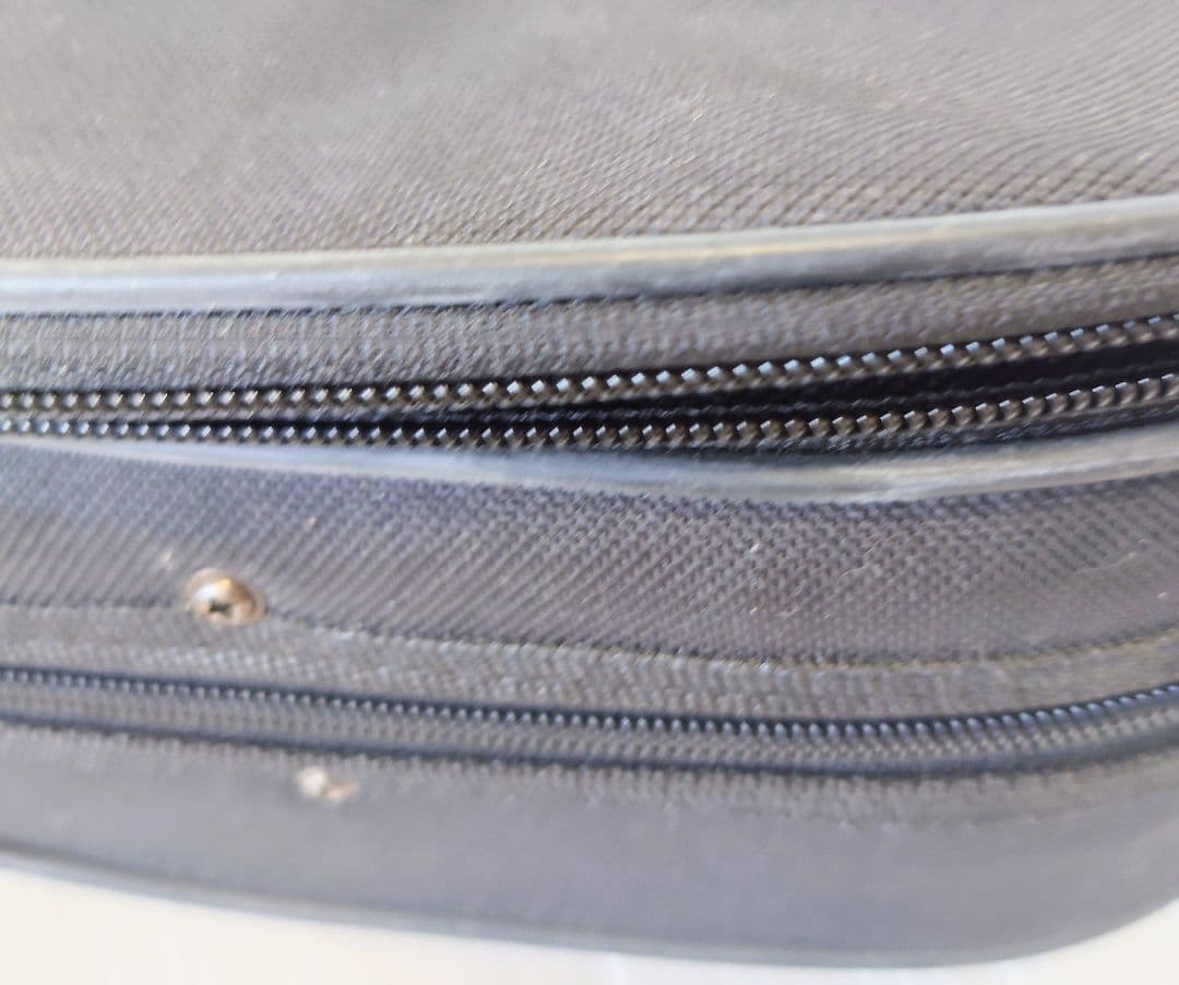 cecilio サイレント エレキ バイオリン HVPV-30