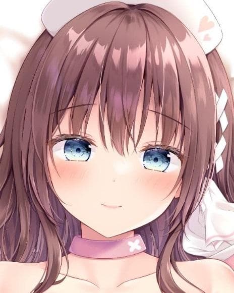 【新品/未開封/正規品】セラちゃん抱き枕カバー【むらさきいろのよる】