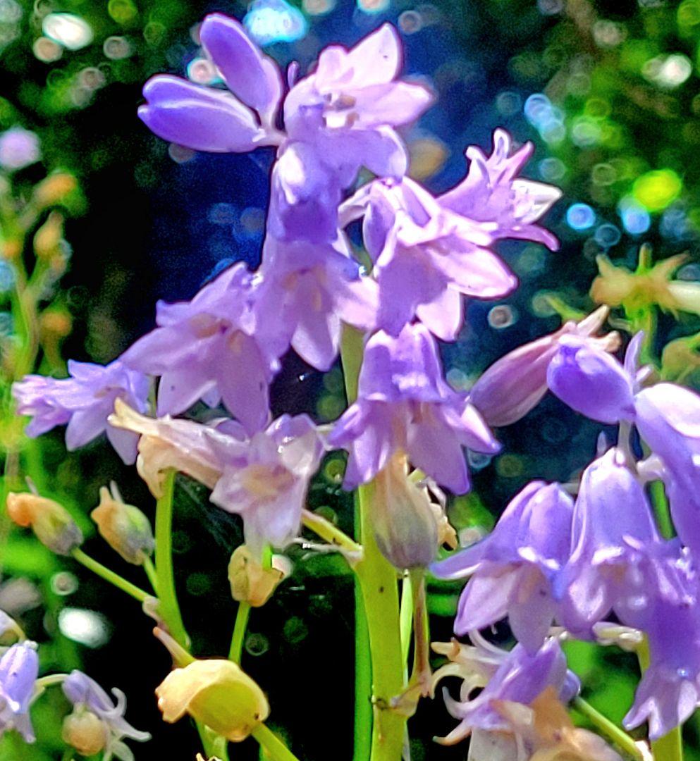 工芸品 taturou.825