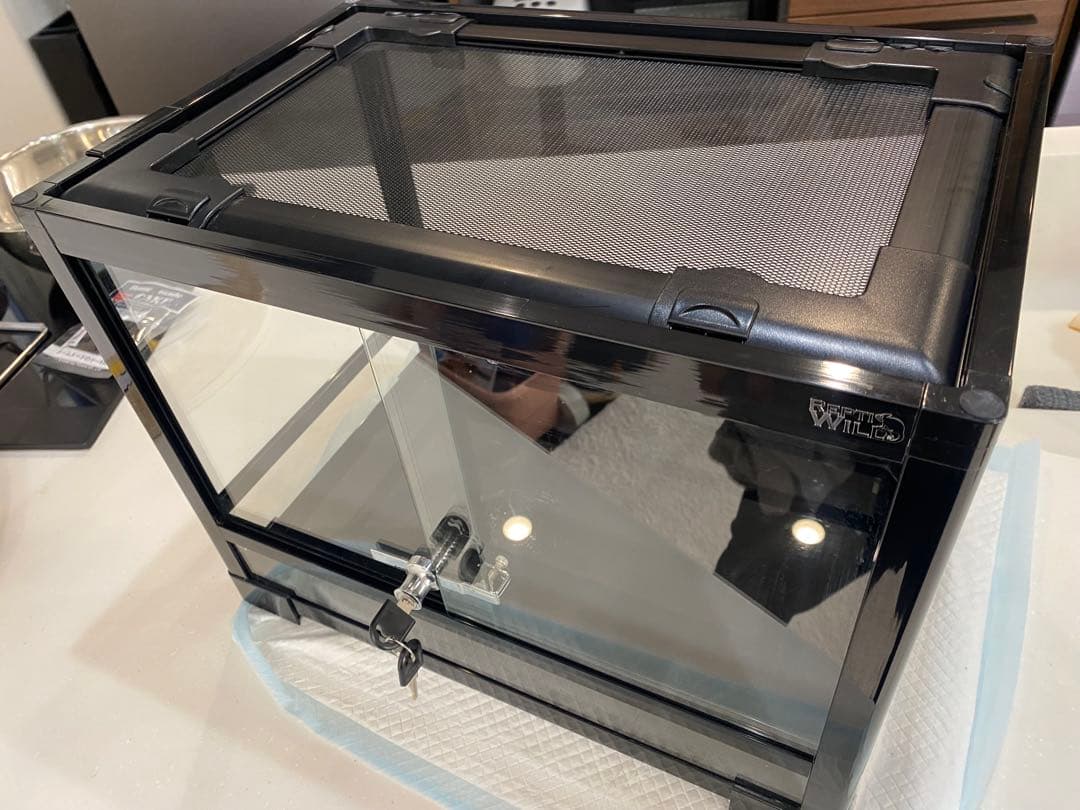 パンテオン　4535 ブラック