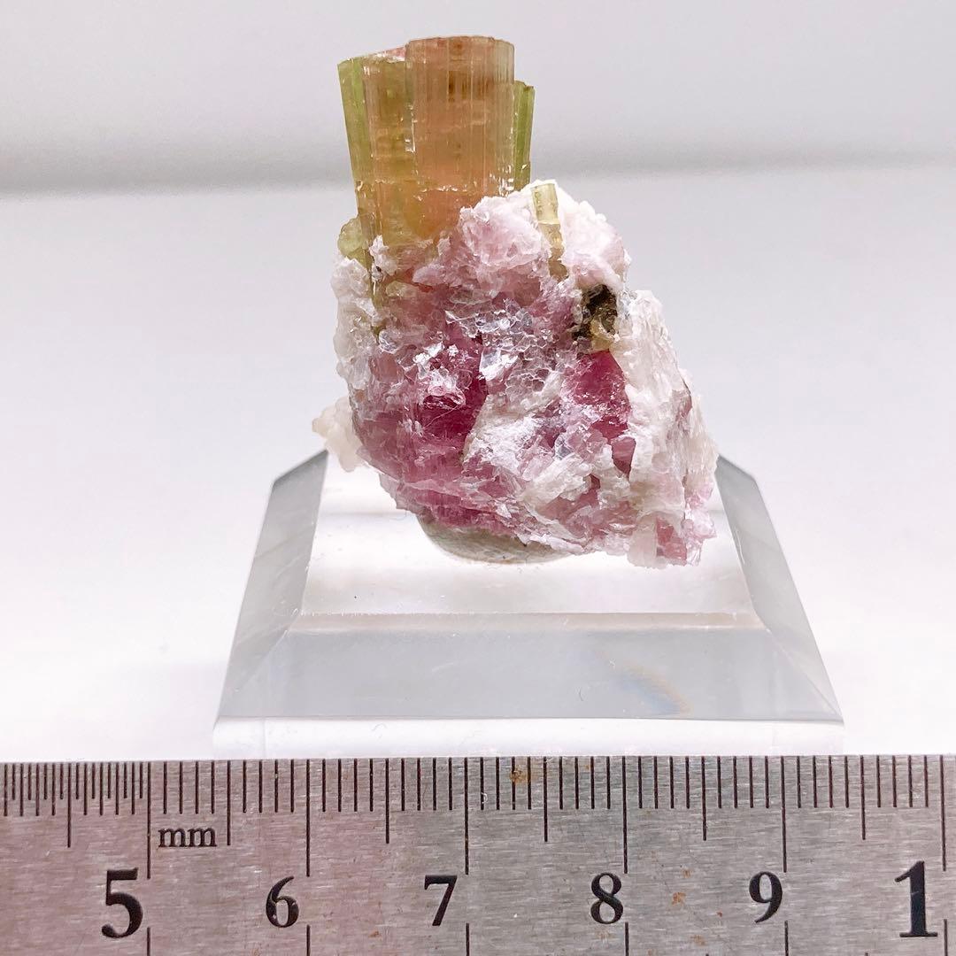 トルマリン　ウォーターメロントルマリン　鉱物標本　原石　194