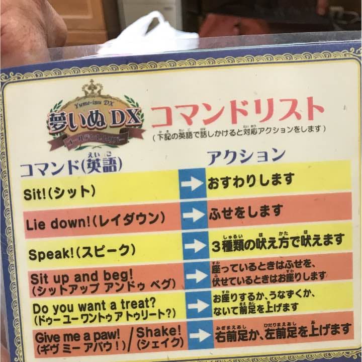 ぬいぐるみロボット