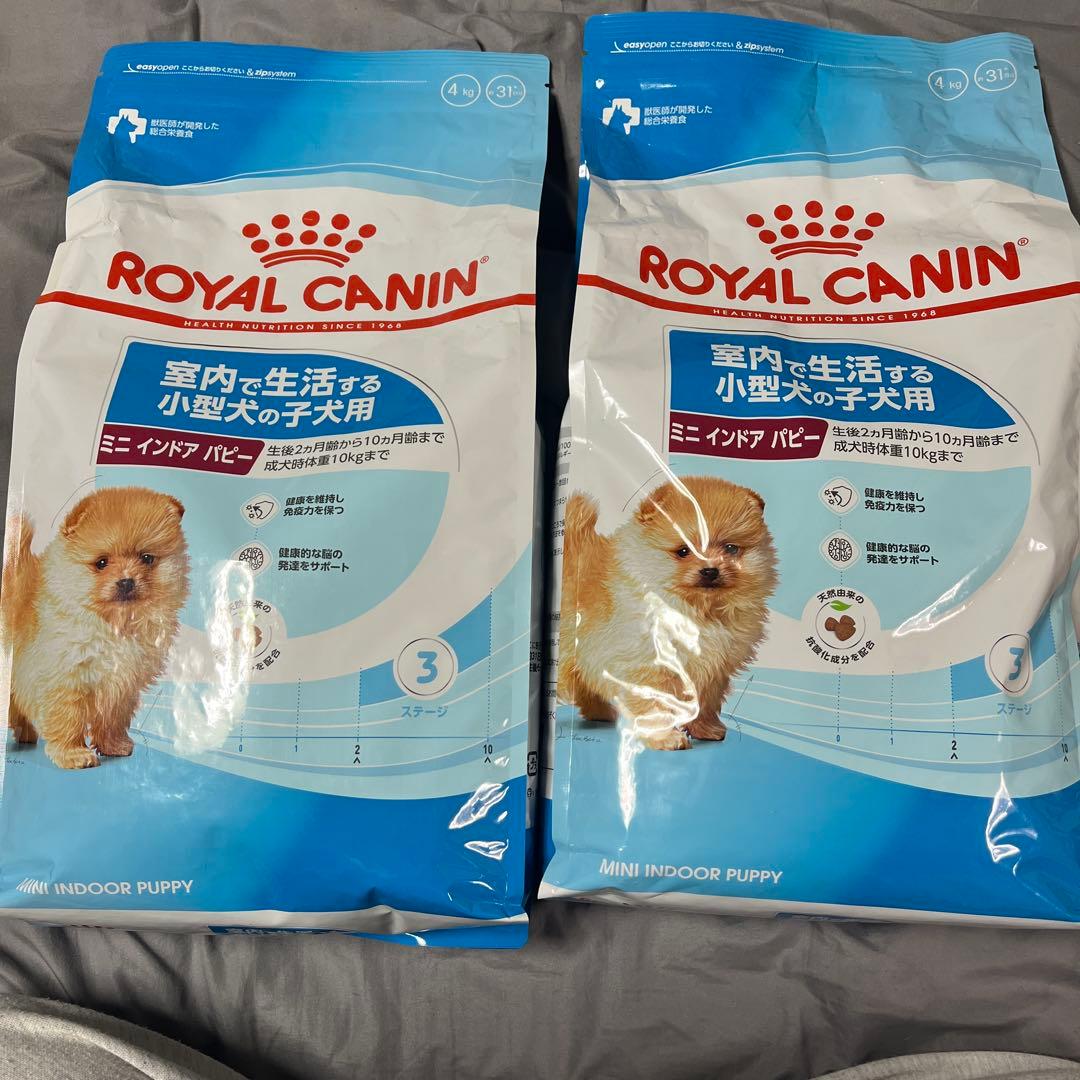 CANIN ミニインドアパピー 4kg×2