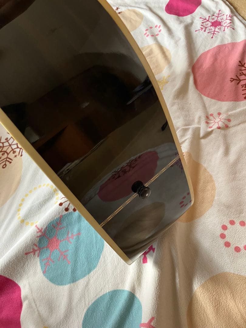 Greg Bennett グレッグ・ベネット　D-8