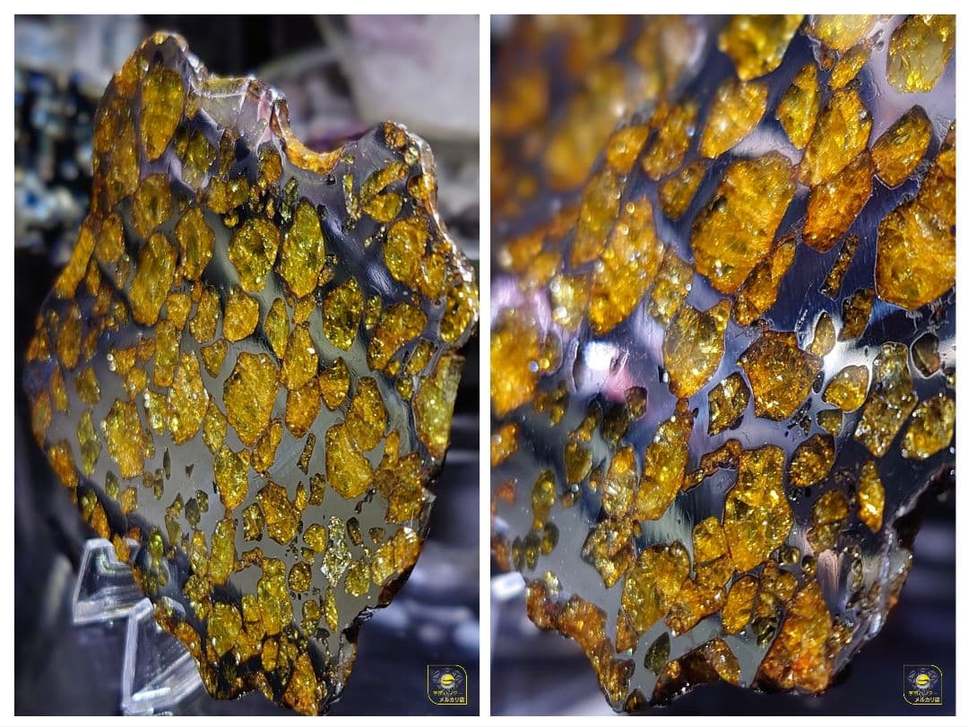 ★77.24g イミラック パラサイト 隕石 Imilac⭐⭐⭐