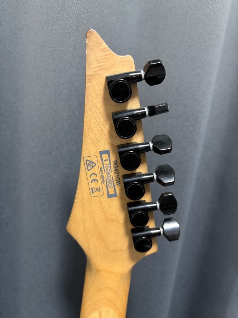 り*う様 Ibanez RGシリーズ エレキギター ダークブラウン