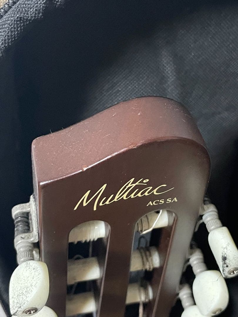 Godin Multiac ACSSA アコースティックギター ギターケース付き