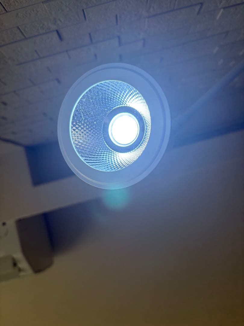 SUSANOO LED スサノオ 10W ライト BARREL ホワイト