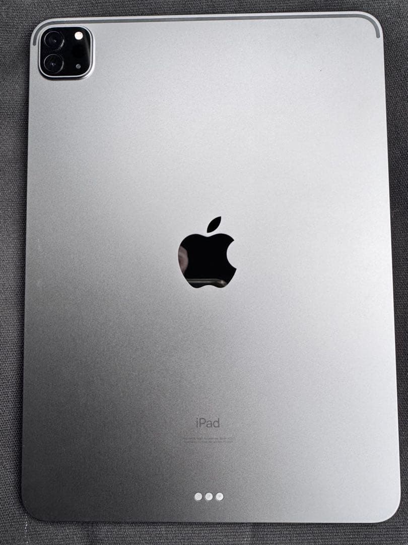 Bigx iPad pro 11inch （第3世代） 256GB