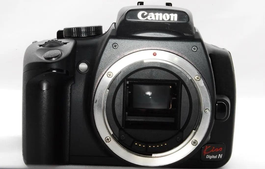 初心者向けCanon Kiss Digital N望遠ズーム付