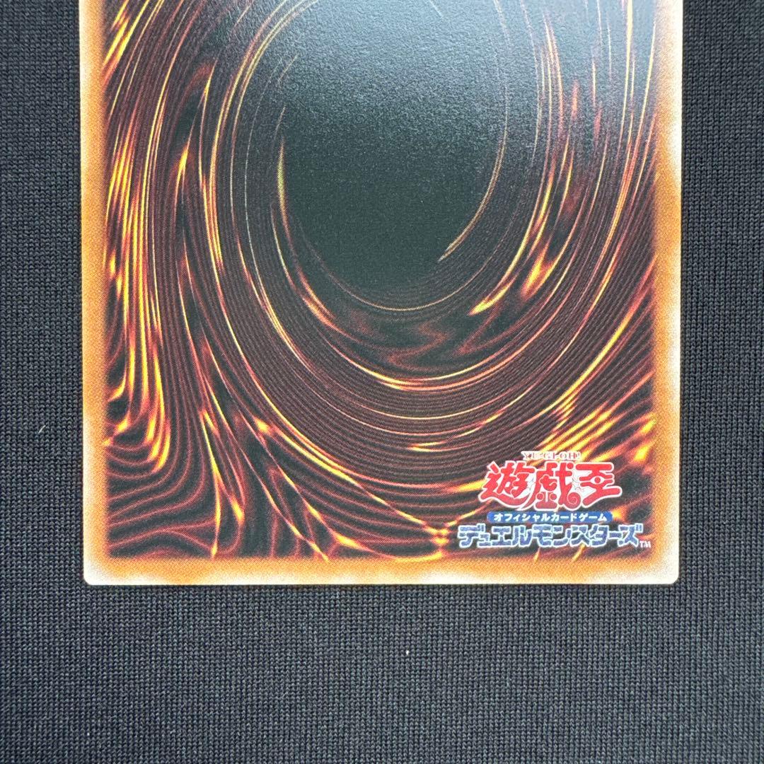 遊戯王 紅蓮の王者 & スカーレッド・ハイパーノヴァ・ドラゴン プリシクセット