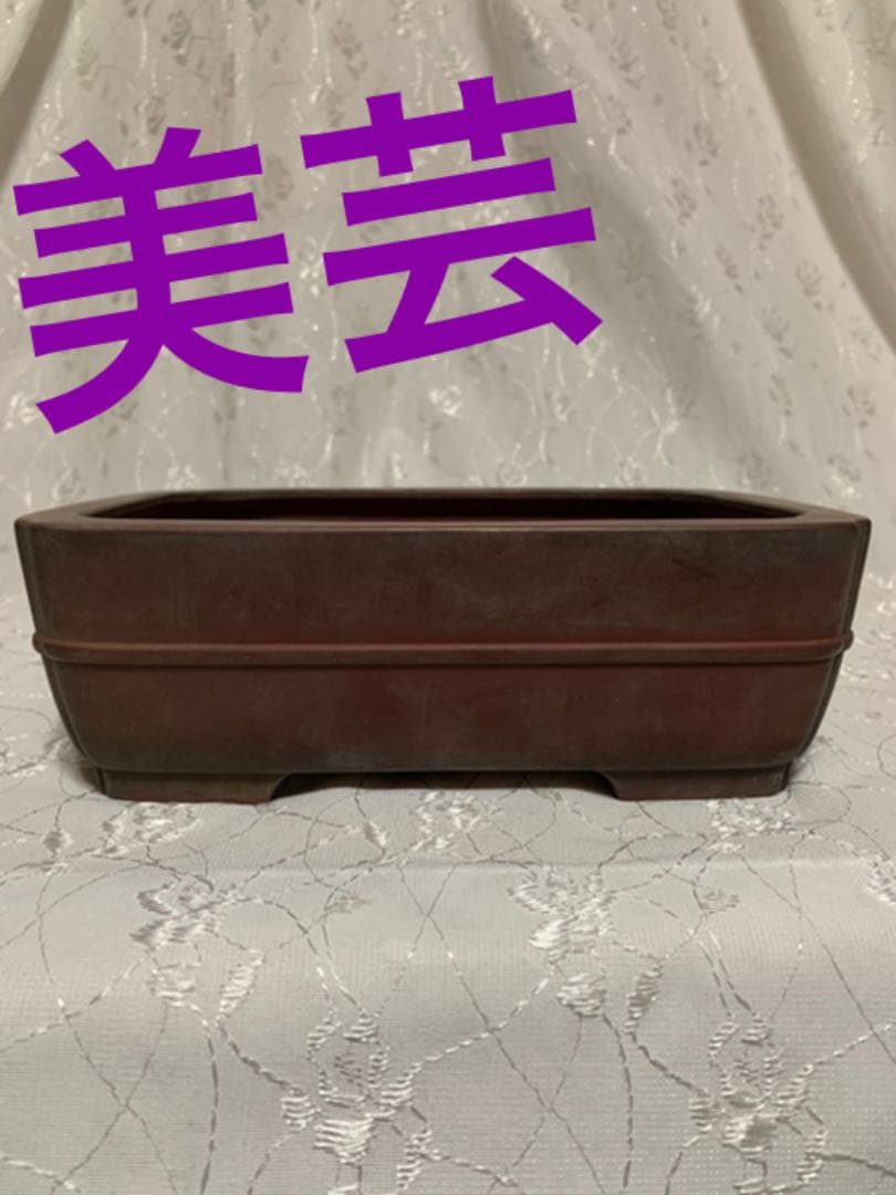 美芸　盆栽鉢