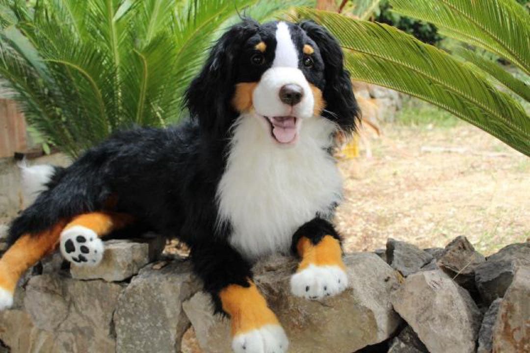 【最終価格】アートドール/ぬいぐるみ/実寸大/バーニーズマウンテンドッグ