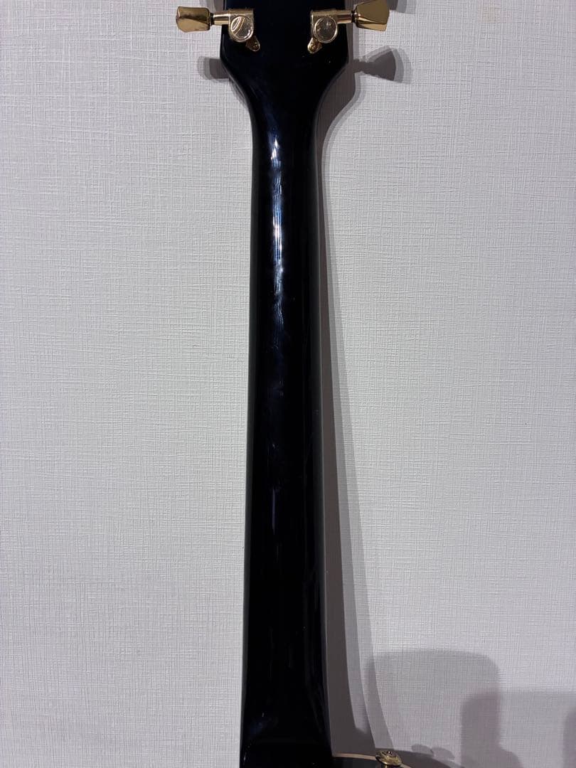 BUSKERS バスカーズ エレキギター BLC300