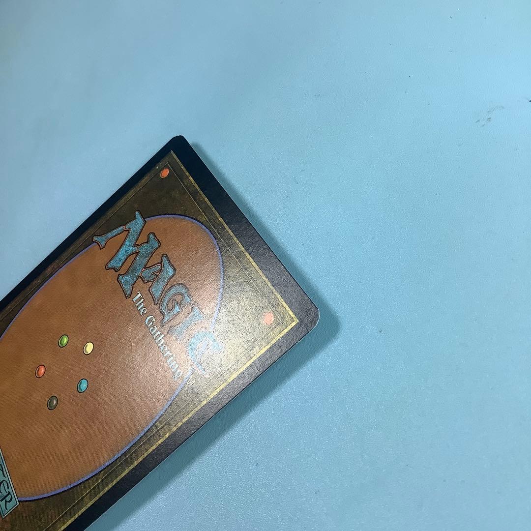 ワイアウッドの共生虫/Wirewood Symbiote SCG日本語foil