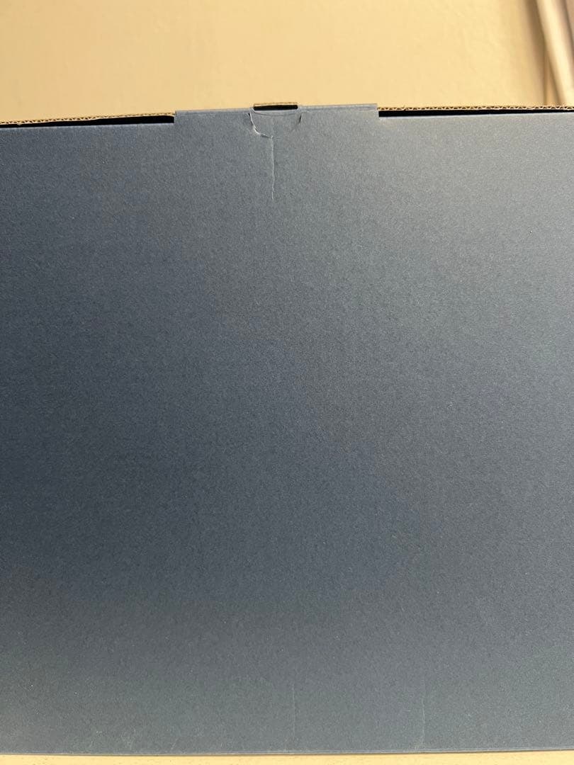 トトロ 30周年記念ぬいぐるみ 本体