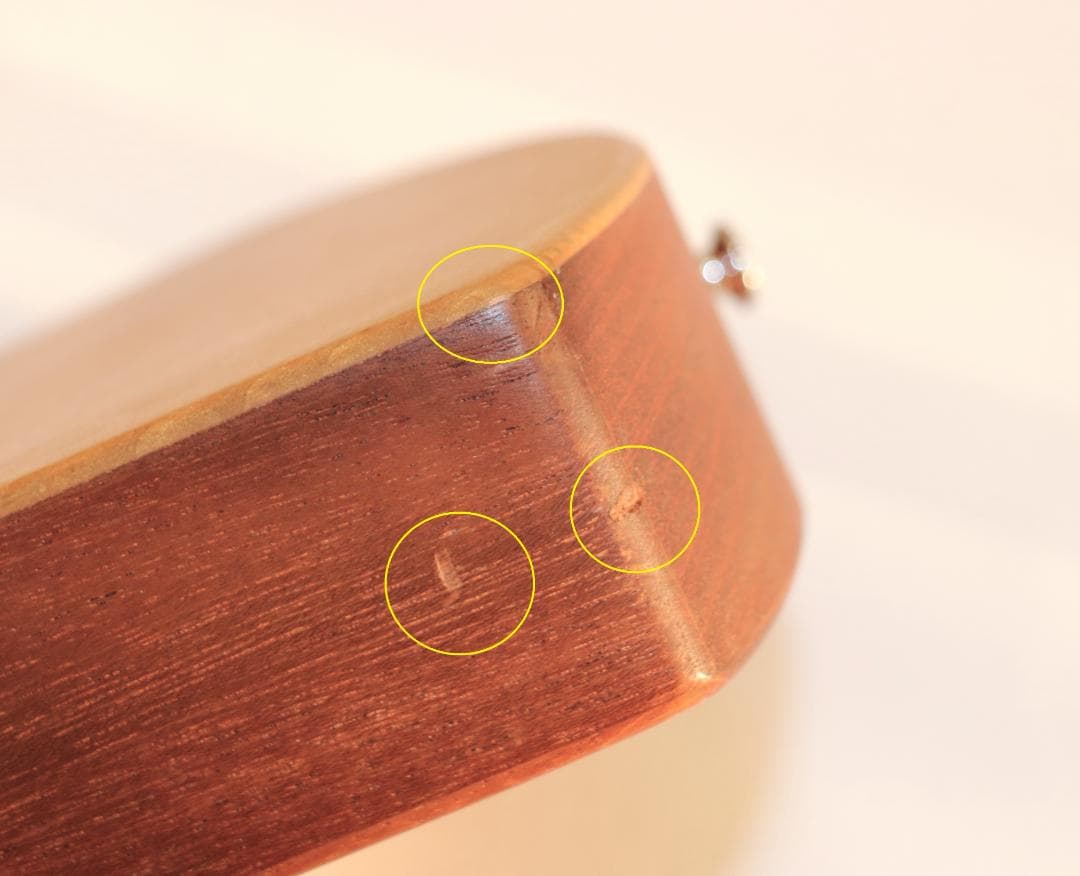 ★マーチンバックパッカーMartinTheBackpackers純正GIGケース