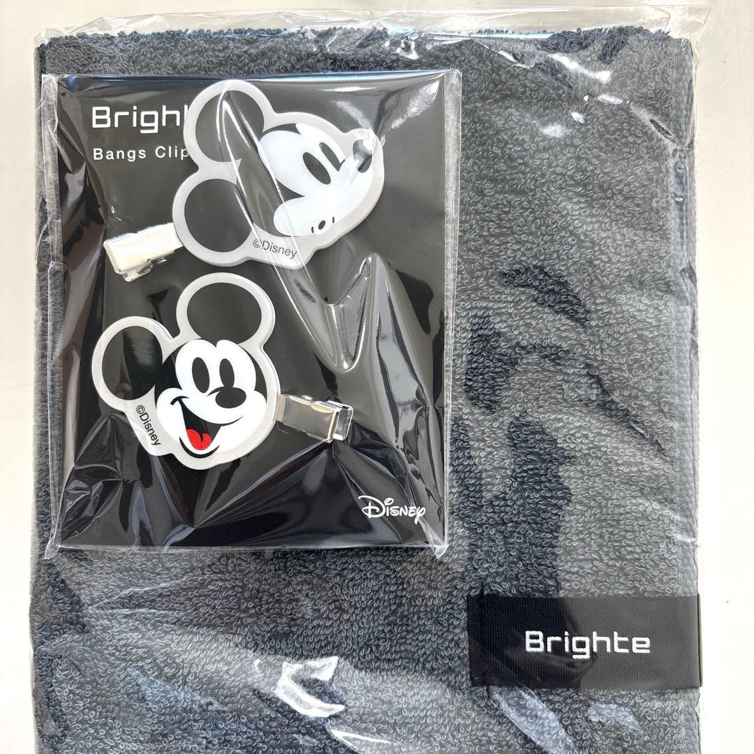 Brighte ELEKILOTON 美顔器 ミッキー