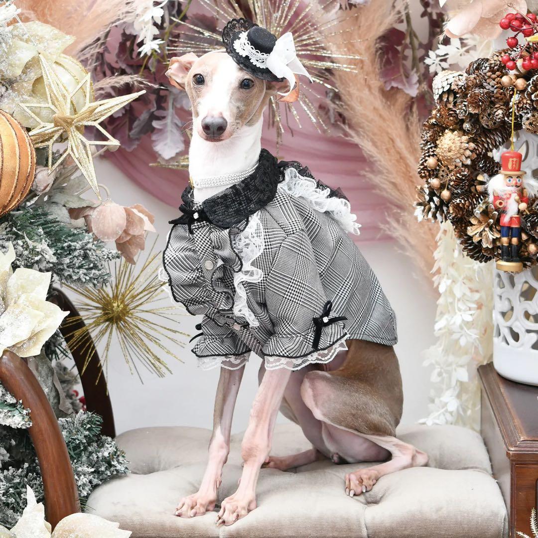 luxebirdie リーブルシャツ SS