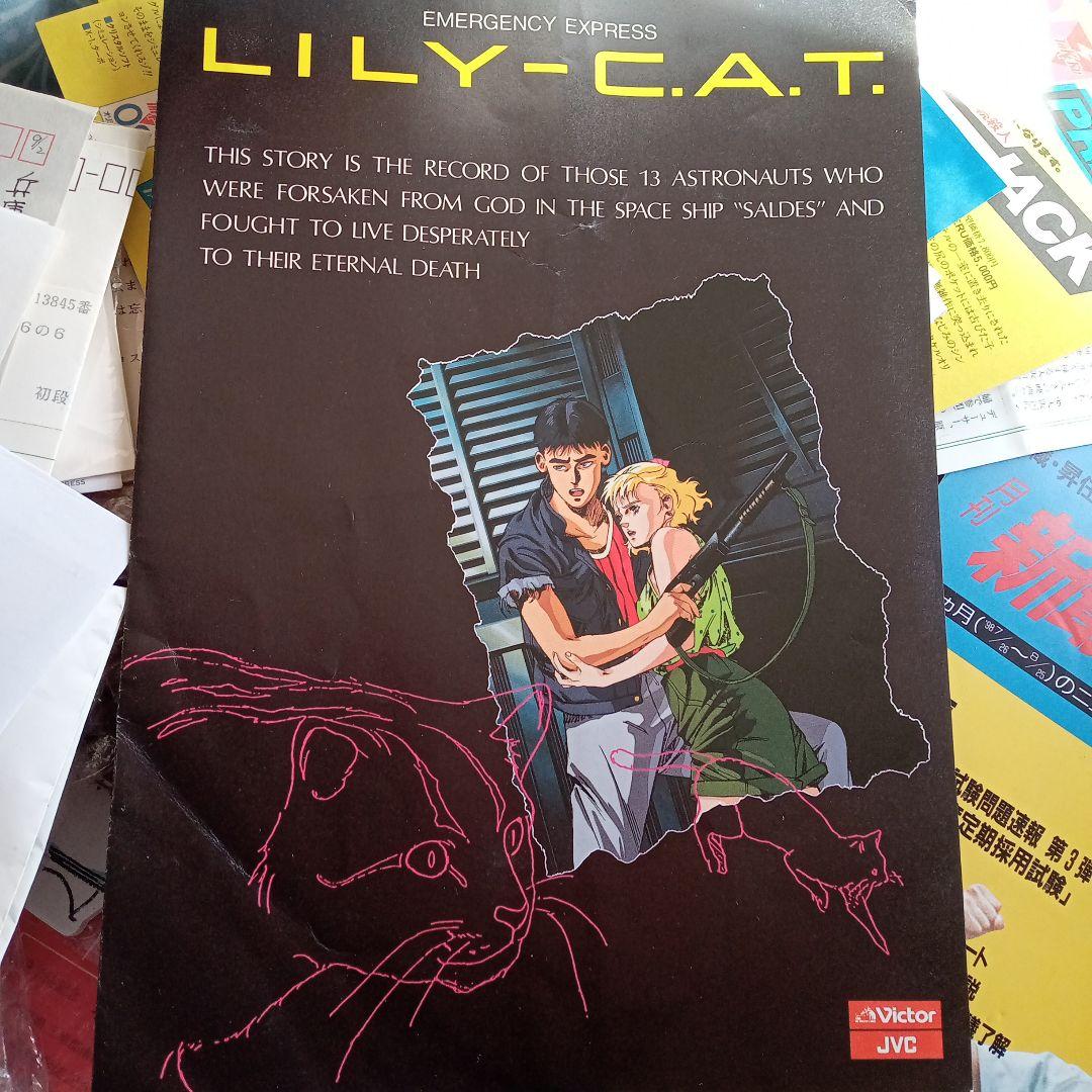 ダ18。リーフレット　LILY−C.A.T.。ホラーアニメ。