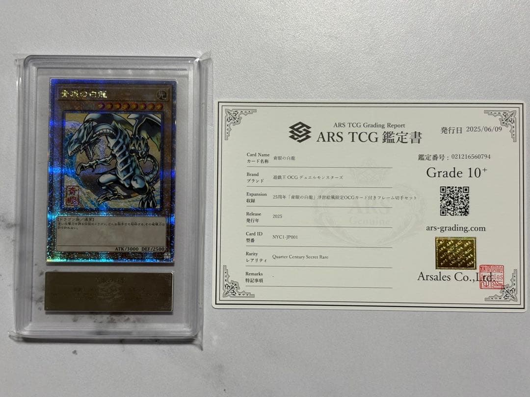 青眼の白龍　浮世絵風　25周年　ARS10+ 鑑定書付き