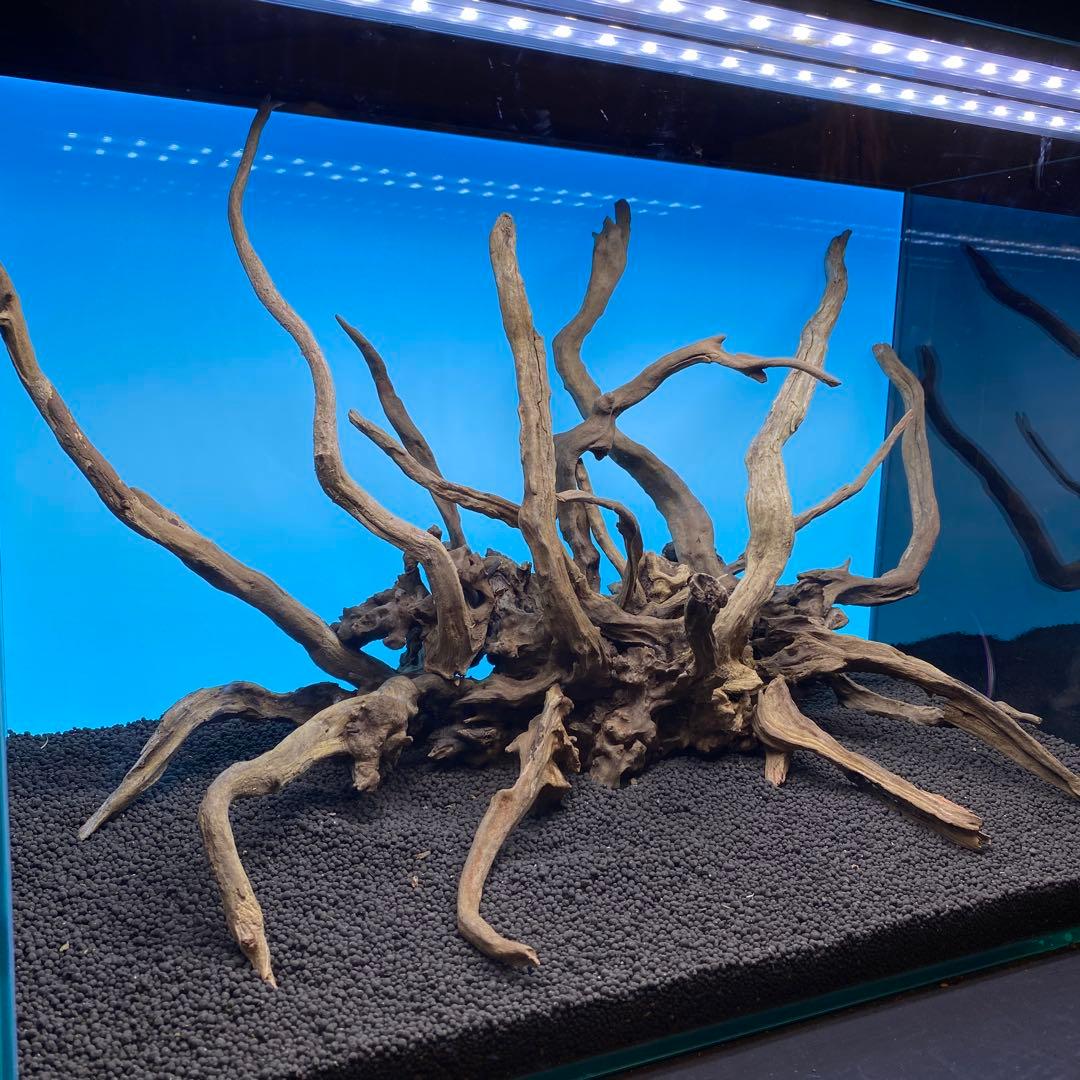 MSRW-6756 スリムウッドレイアウトセット　60cm水槽用流木アクアリウム