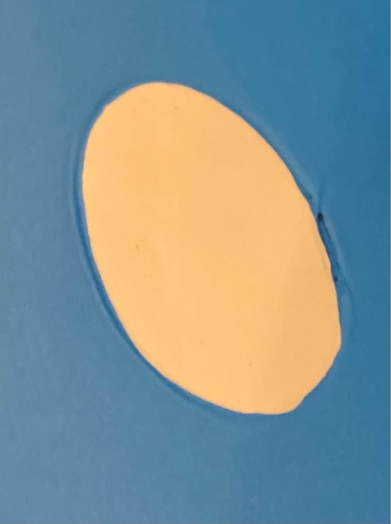 さ*ん様 【15291】立体ポケモン図鑑　40/1 ホエルオー　希少　レア