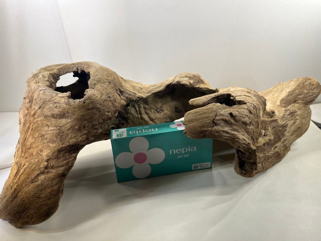 m61特大流木 アク抜き済み 爬虫類シェルター レイアウト用 登り木 インテリア