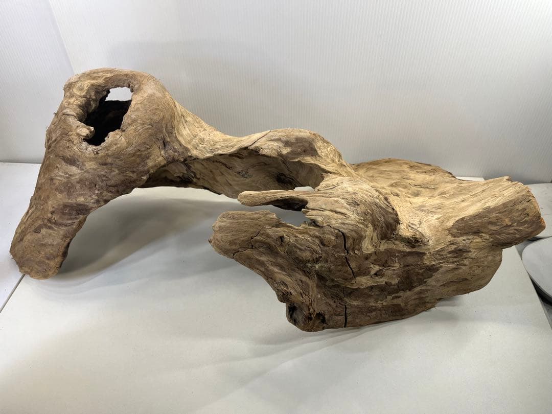 m61特大流木 アク抜き済み 爬虫類シェルター レイアウト用 登り木 インテリア