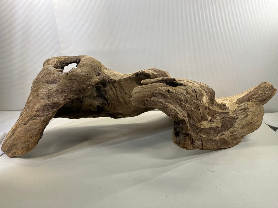 m61特大流木 アク抜き済み 爬虫類シェルター レイアウト用 登り木 インテリア