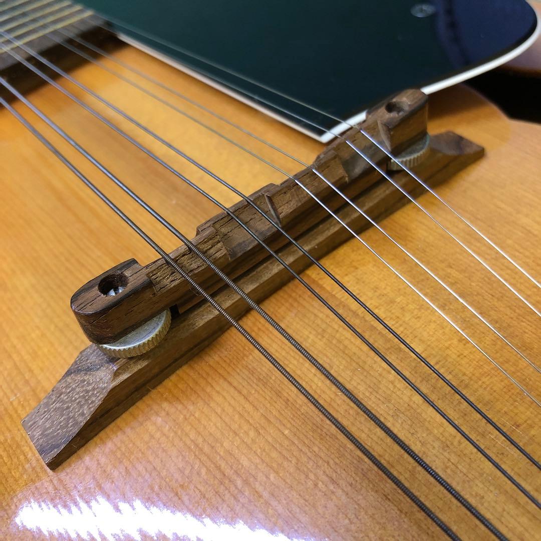 フラットマンドリン 日本製ハードケース付き！