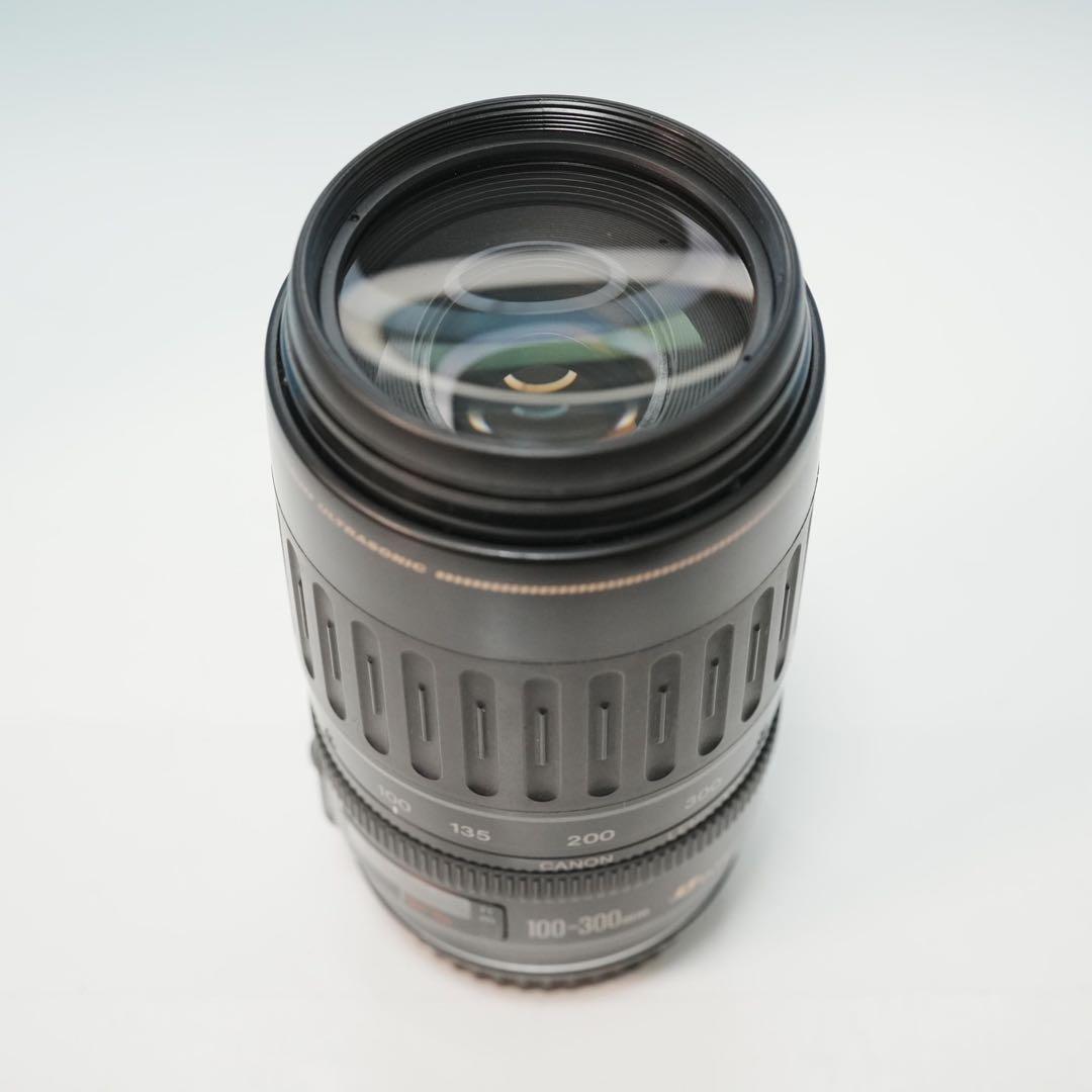Canon純正 100-300mm 望遠レンズ a4658