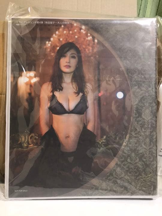 熊田曜子　トレーディングカード　バインダーセット