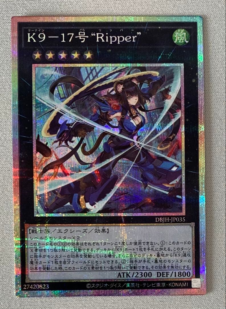 K9-17号リッパー プリシク