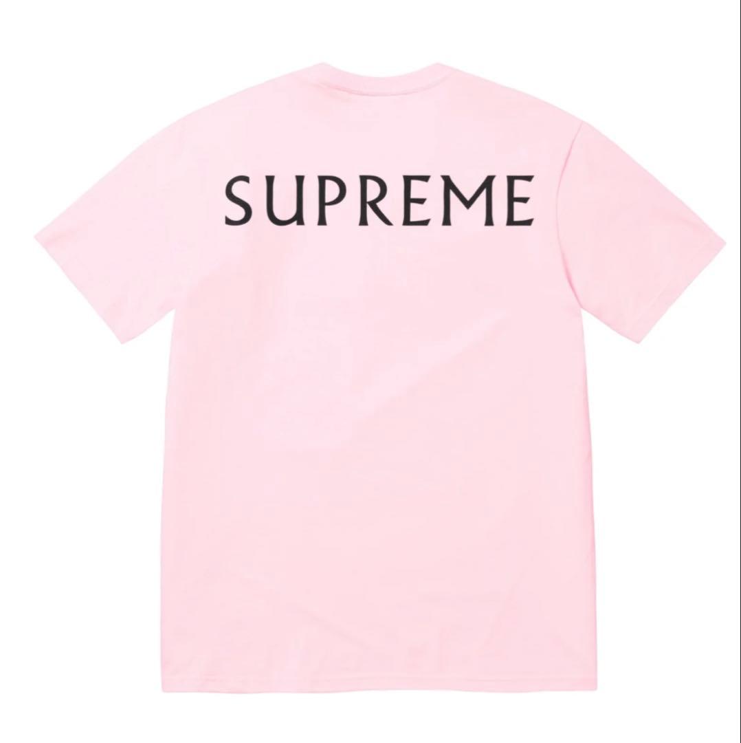 Supreme / Damien Hirst Tee ピンク