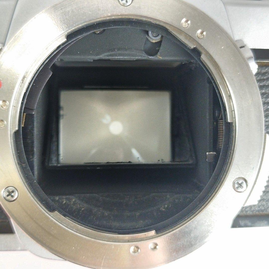 OLYMPUS　OM-1 G　ZUIKO　35mm f2.8