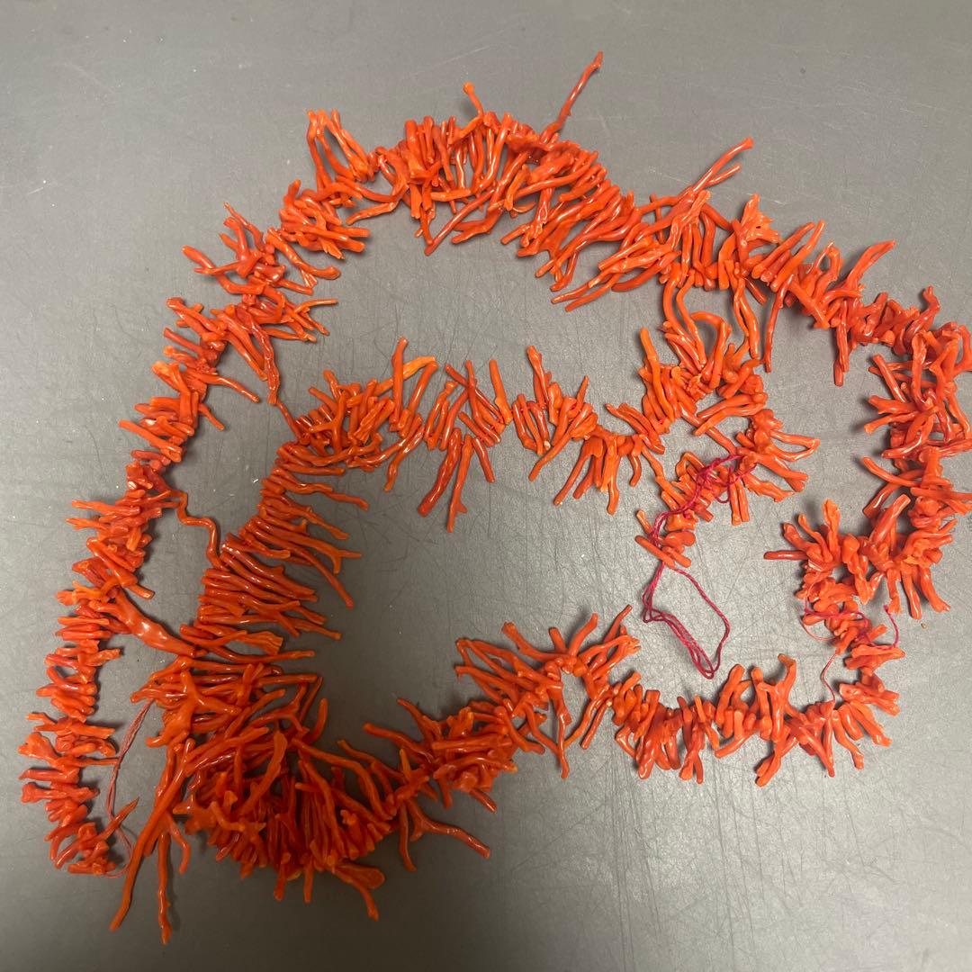 赤珊瑚　枝珊瑚100cm