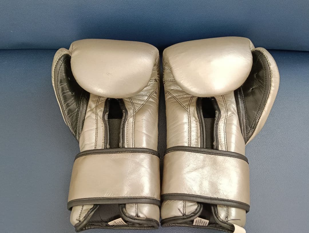 CLETO REYES プロフェッショナル ボクシンググローブ シルバー