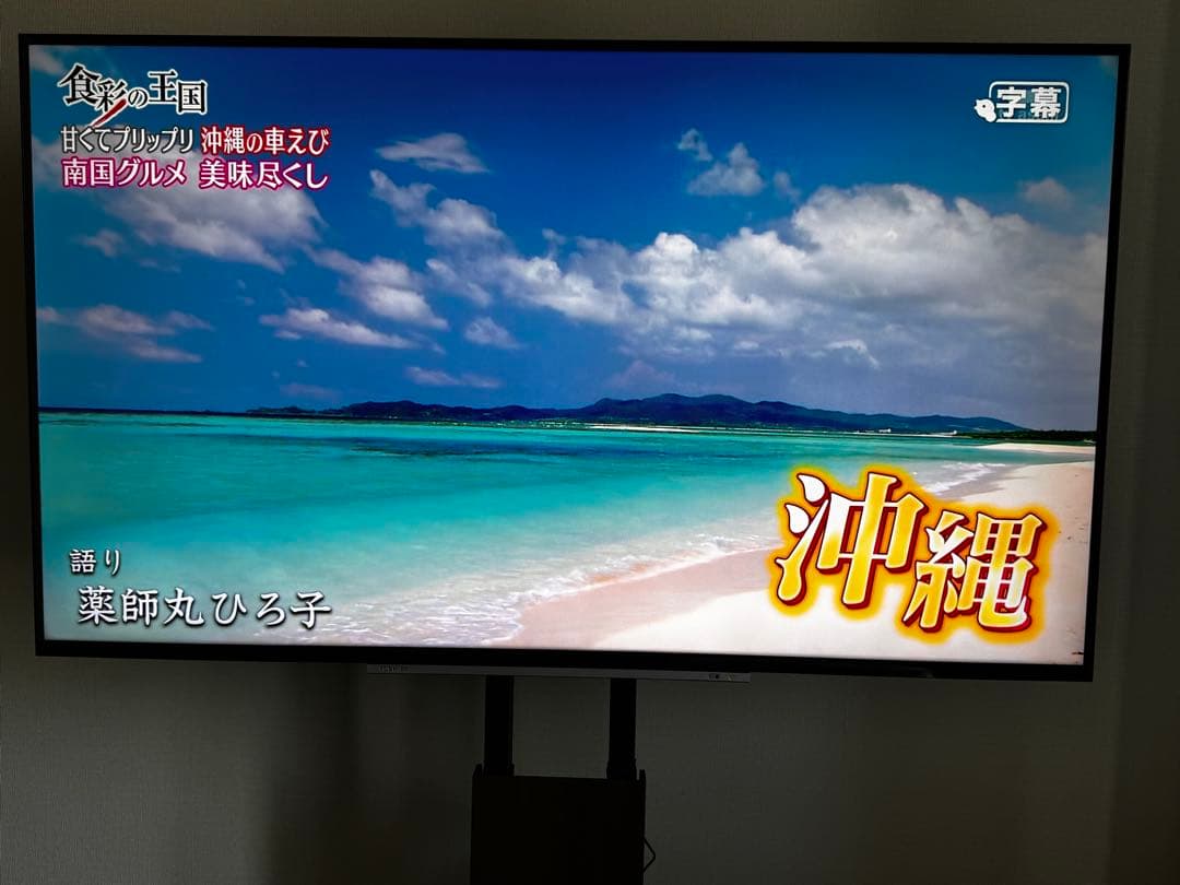 REGZA55V型地上・BS・110度CSデジタル4Kチューナー内蔵LED液晶