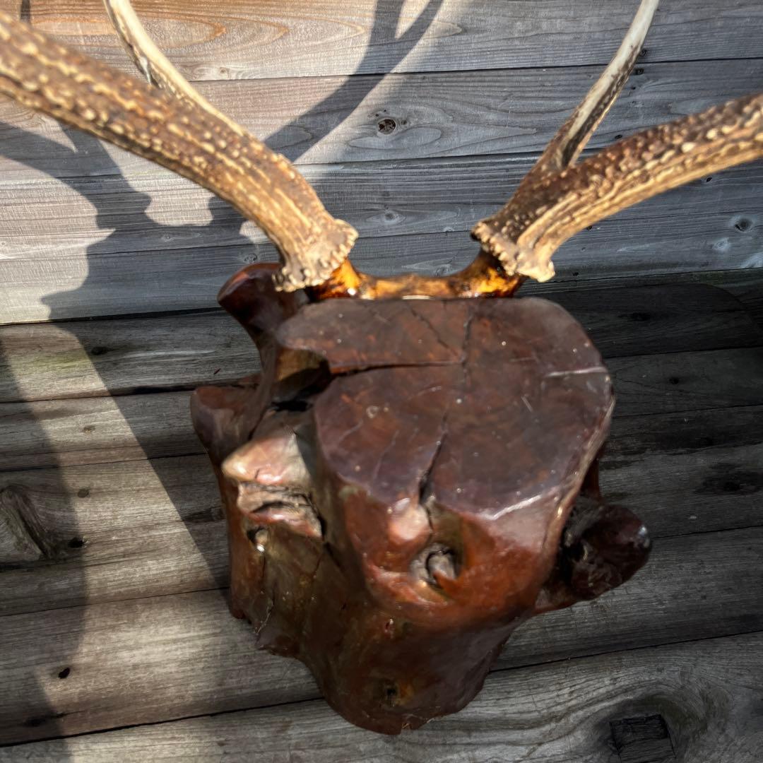 ヴィンテージ迫力満点！鹿ツノ丸太