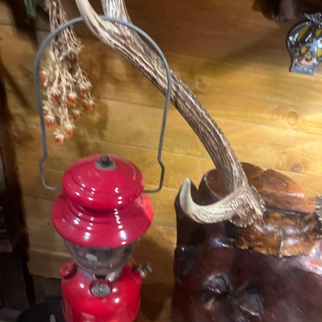 ヴィンテージ迫力満点！鹿ツノ丸太