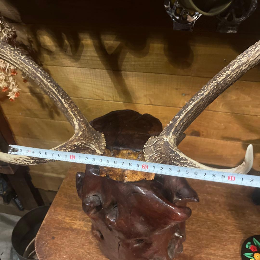 ヴィンテージ迫力満点！鹿ツノ丸太