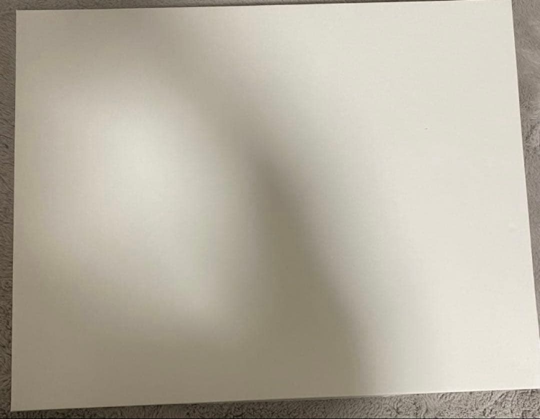 ワンピース　高級複製原画　ジャンプフェスタ2008