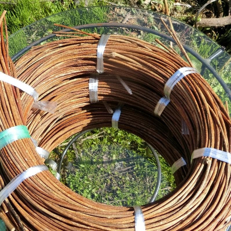 michifurano213　青森岩木山　あけび蔓　150cm～ 3kg