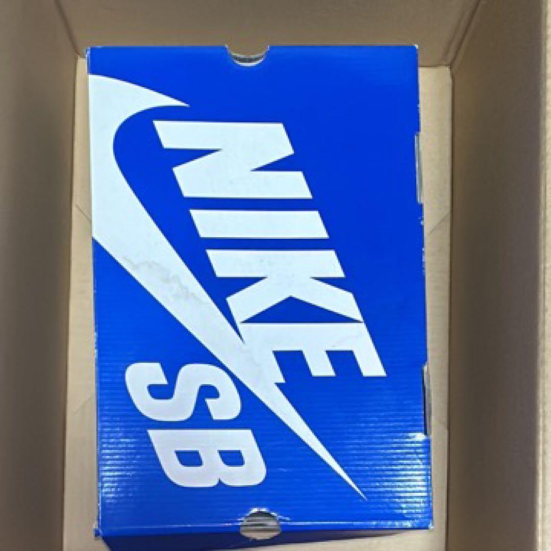 NIKESB エリックコストン28.0センチ