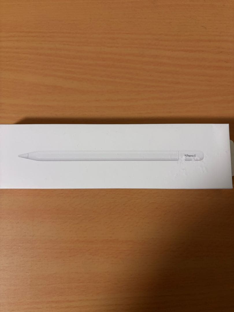Apple Pencil アップルペンシル USB-C 純正