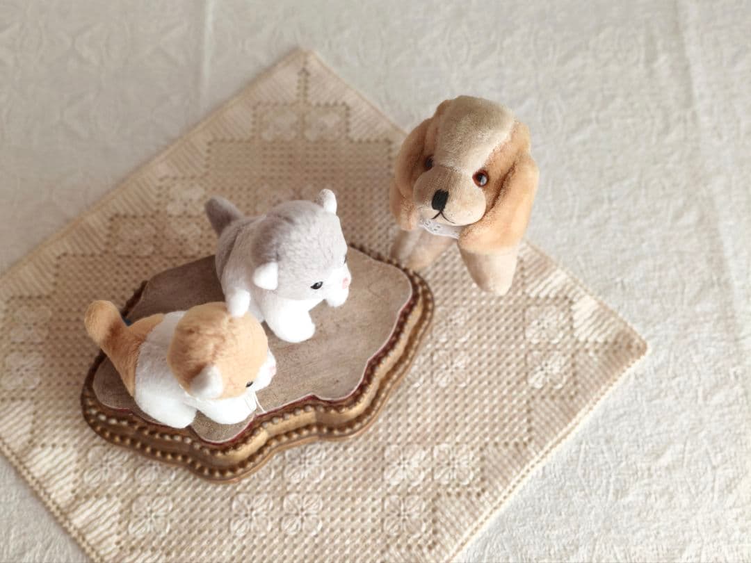 * vintage dog ❀ * 淡いツートーンの可愛い ワンちゃん