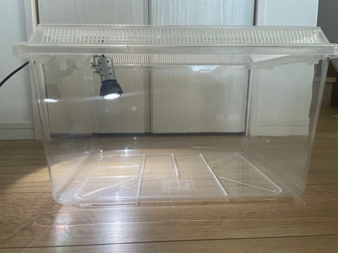 ケージ　カナヘビ　トカゲ　爬虫類　虫かご　飼育ケース　UVBライト　LED