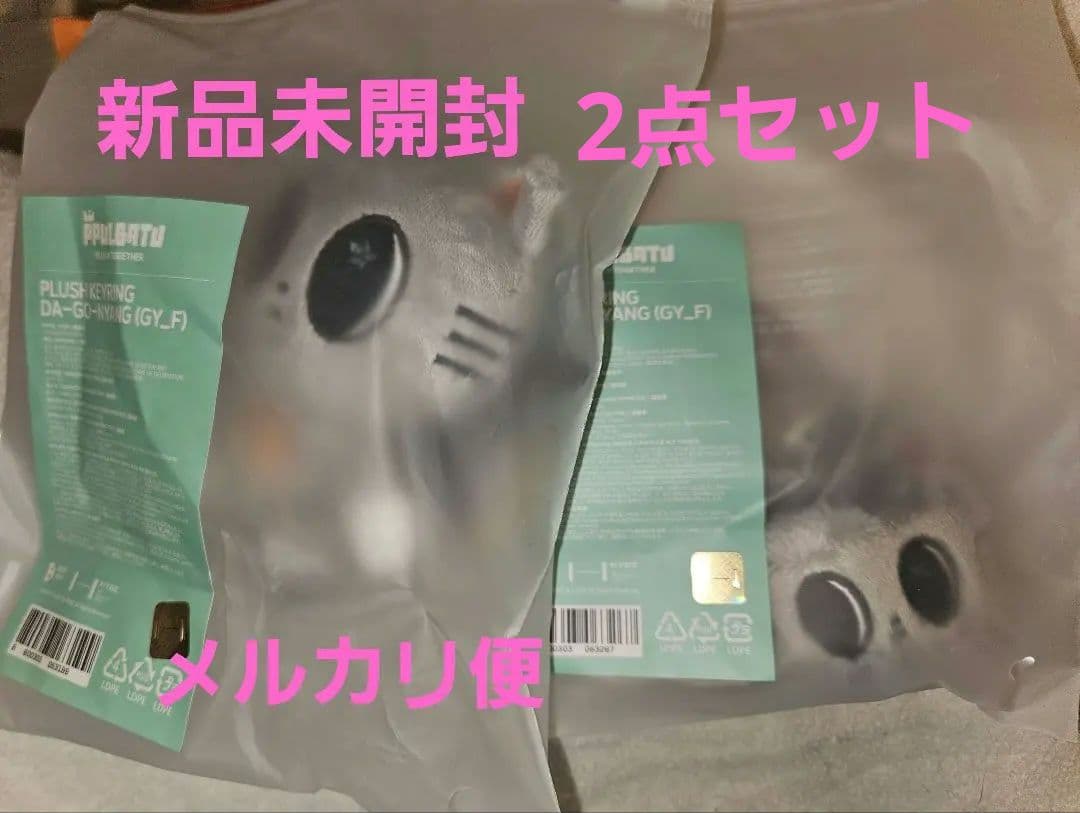 新品未開封　TXT PPULBATU テヒョン　ダゴニャン　キーリング
