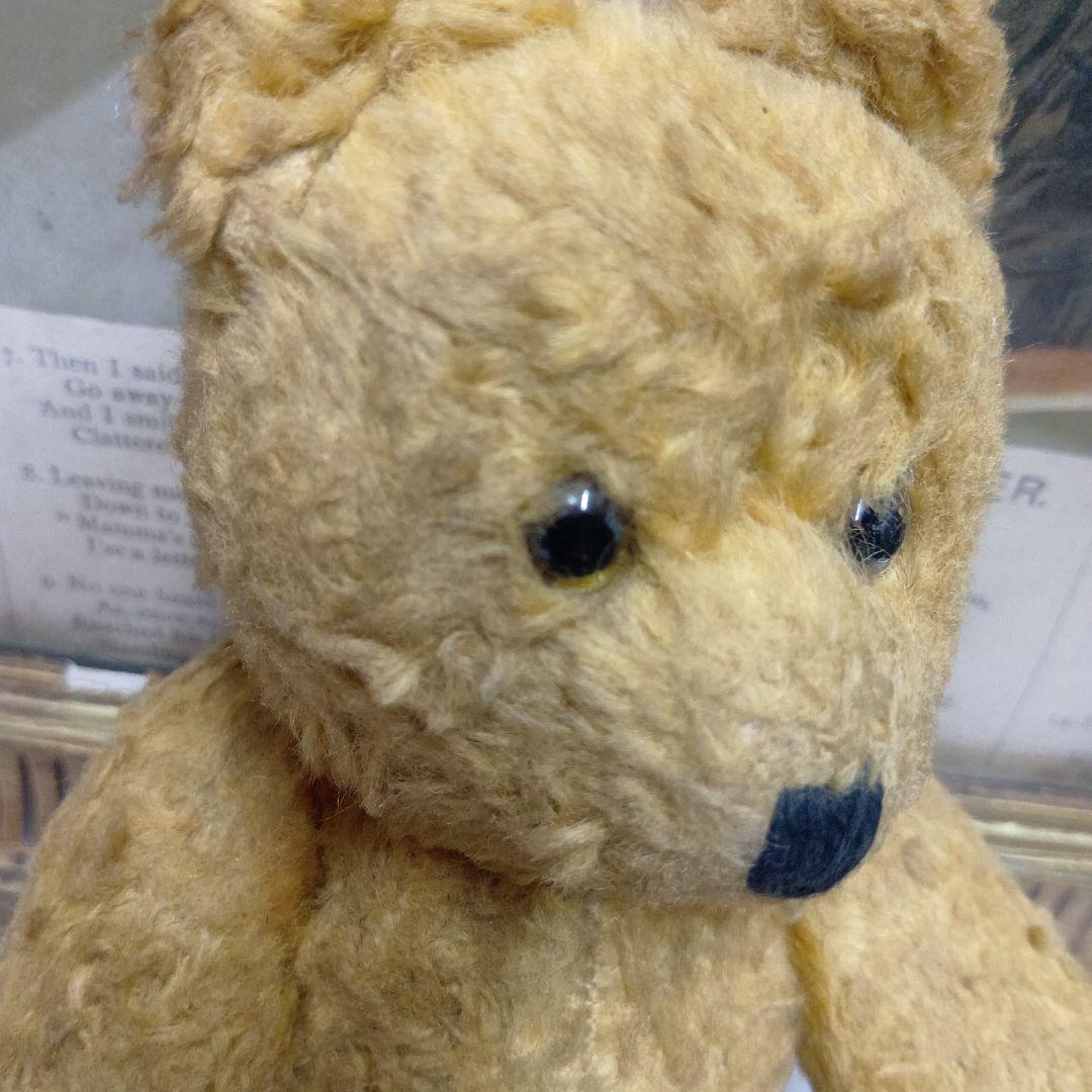 ♥ドイツからやって来た賢いお顔の　アンティーク　テディベア♥